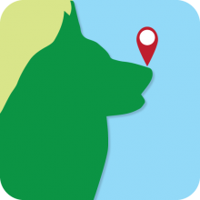 Dogs Unleashed - A guide for dogs and their owners